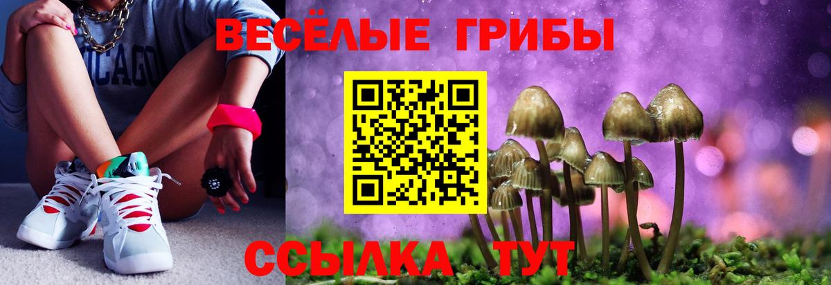 Канск  Псилоцибиновые грибы Magic Shrooms  Галлюциногенные грибы мухоморы  наркота  Вход с VPN 