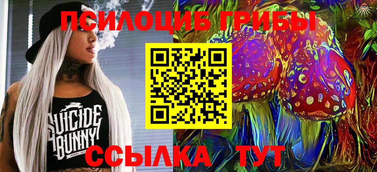 Псилоцибиновые грибы мицелий Канск